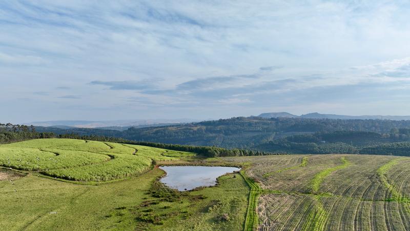 0 Bedroom Property for Sale in Mount Verde KwaZulu-Natal