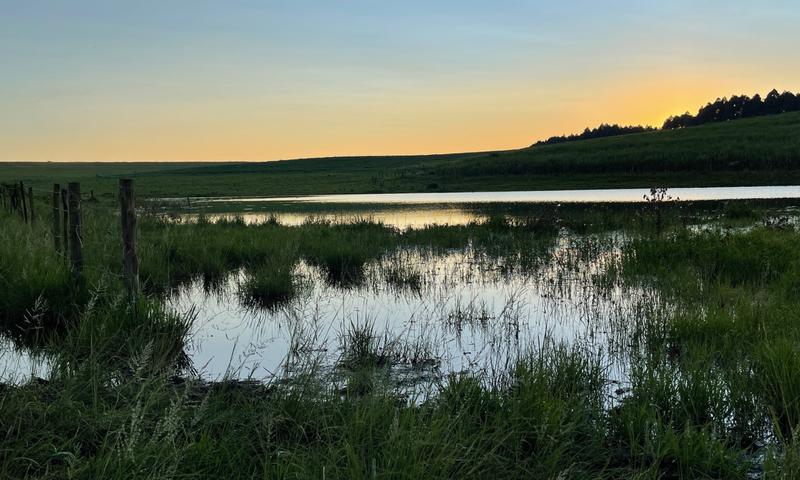 0 Bedroom Property for Sale in Mount Verde KwaZulu-Natal