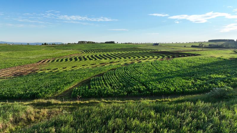 0 Bedroom Property for Sale in Mount Verde KwaZulu-Natal