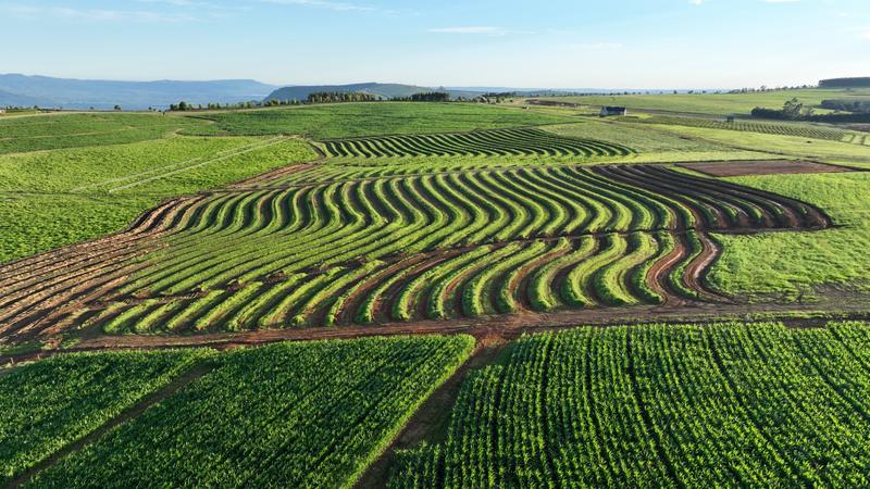 0 Bedroom Property for Sale in Mount Verde KwaZulu-Natal