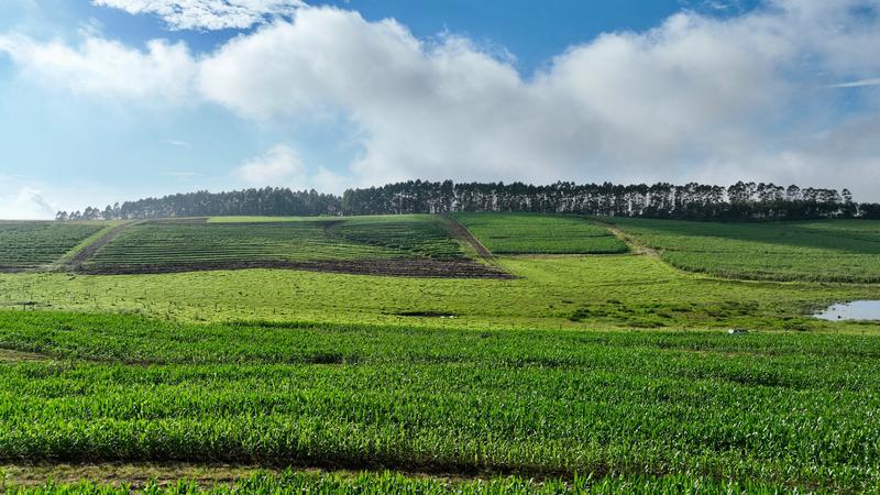 0 Bedroom Property for Sale in Mount Verde KwaZulu-Natal