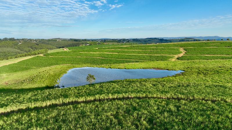 0 Bedroom Property for Sale in Mount Verde KwaZulu-Natal