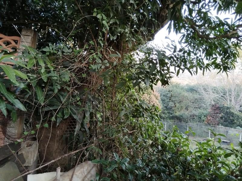 5 Bedroom Property for Sale in Avoca KwaZulu-Natal