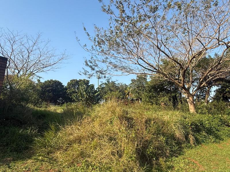 0 Bedroom Property for Sale in Mtunzini KwaZulu-Natal