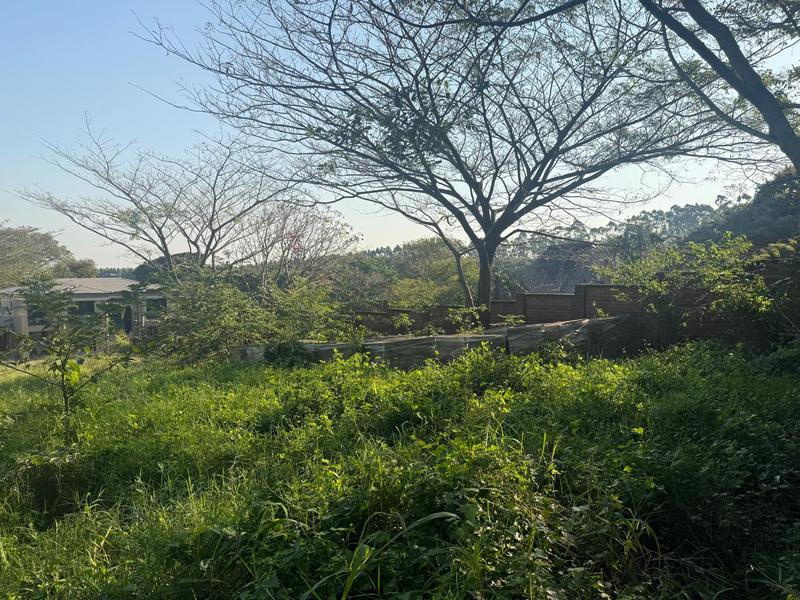 0 Bedroom Property for Sale in Mtunzini KwaZulu-Natal
