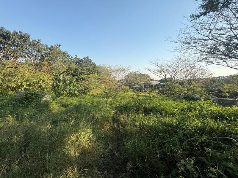 0 Bedroom Property for Sale in Mtunzini KwaZulu-Natal