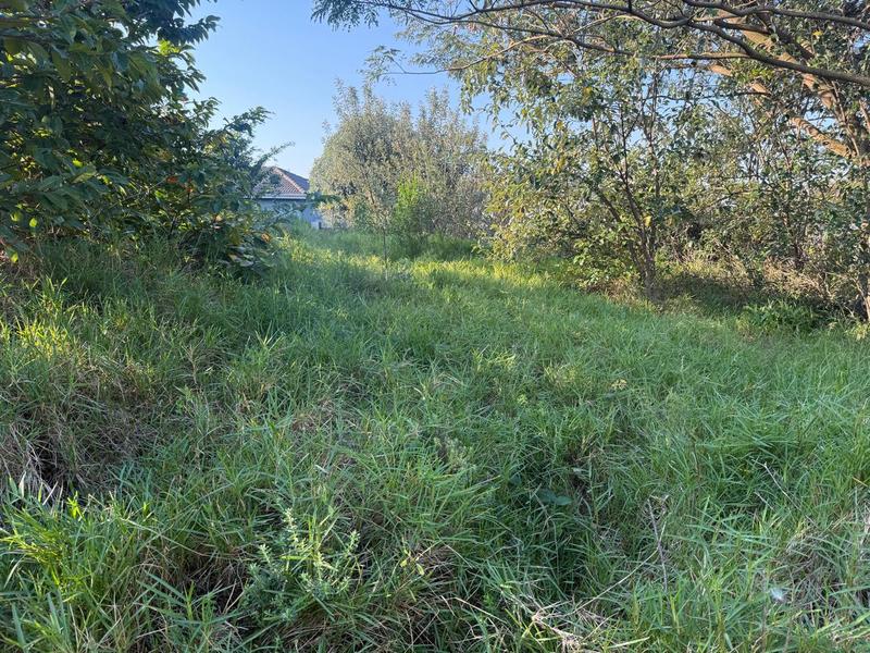 0 Bedroom Property for Sale in Zini River Estate KwaZulu-Natal