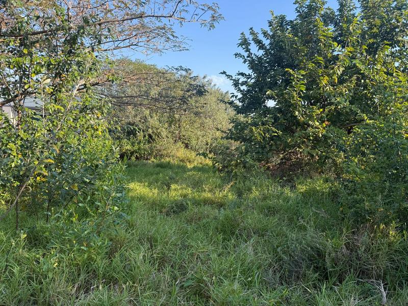 0 Bedroom Property for Sale in Zini River Estate KwaZulu-Natal