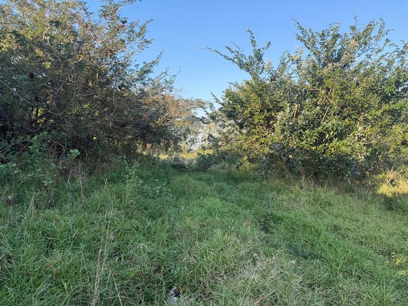 0 Bedroom Property for Sale in Zini River Estate KwaZulu-Natal