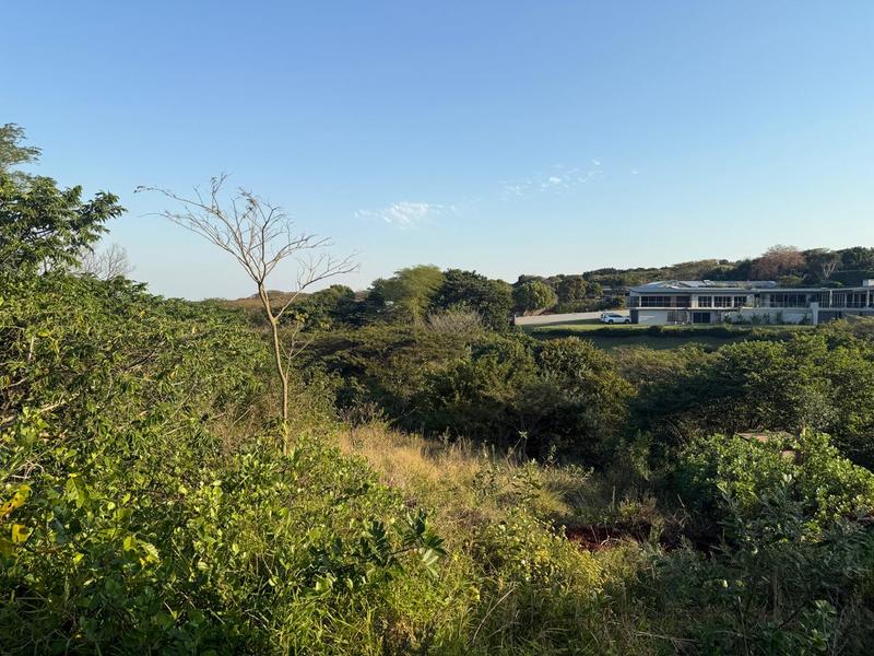 0 Bedroom Property for Sale in Zini River Estate KwaZulu-Natal