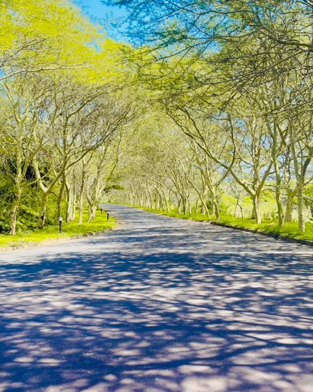 3 Bedroom Property for Sale in Shelly Beach KwaZulu-Natal