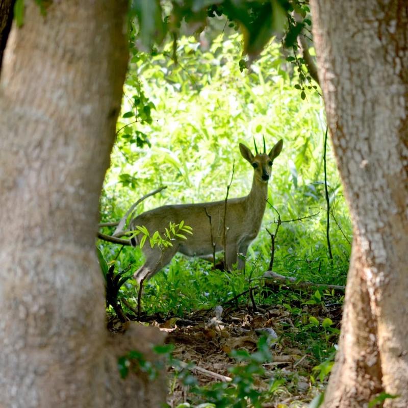 3 Bedroom Property for Sale in Shelly Beach KwaZulu-Natal