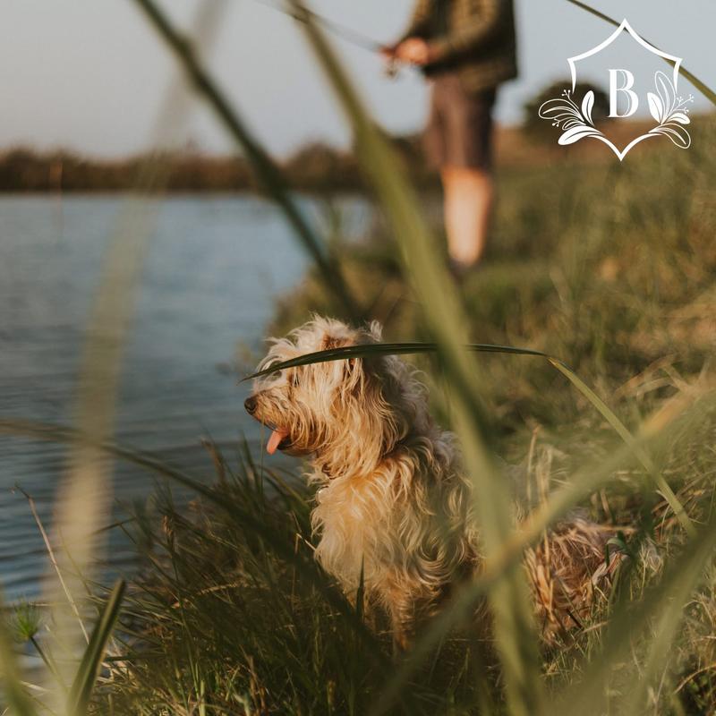 3 Bedroom Property for Sale in Shelly Beach KwaZulu-Natal