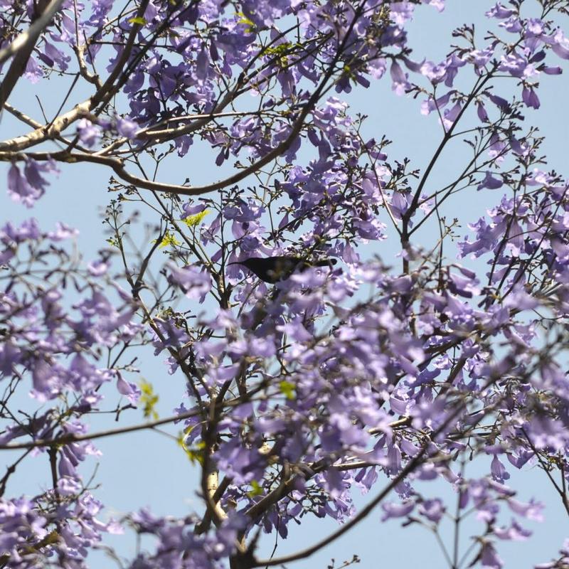 3 Bedroom Property for Sale in Shelly Beach KwaZulu-Natal