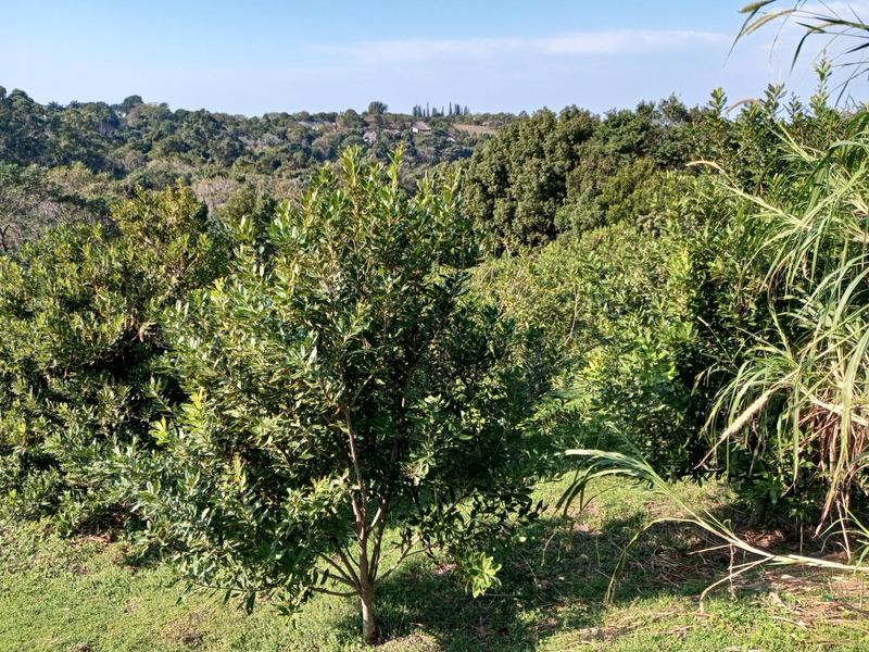 2 Bedroom Property for Sale in Banners Rest KwaZulu-Natal
