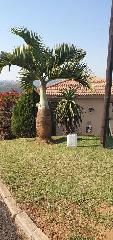 5 Bedroom Property for Sale in Cato Manor KwaZulu-Natal
