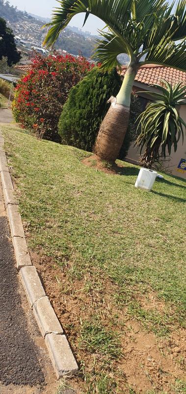 5 Bedroom Property for Sale in Cato Manor KwaZulu-Natal