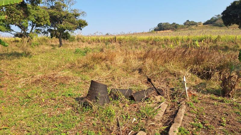 5 Bedroom Property for Sale in Roseneath KwaZulu-Natal
