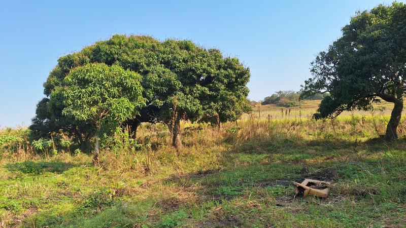 5 Bedroom Property for Sale in Roseneath KwaZulu-Natal