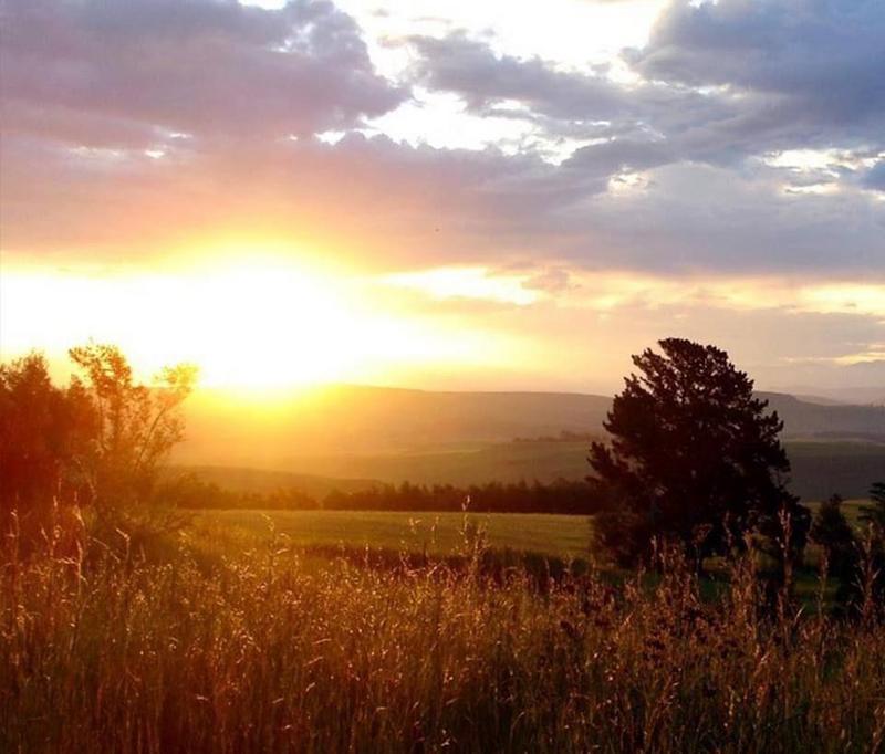 19 Bedroom Property for Sale in Estcourt KwaZulu-Natal