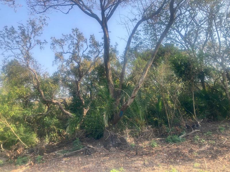 0 Bedroom Property for Sale in Margate KwaZulu-Natal