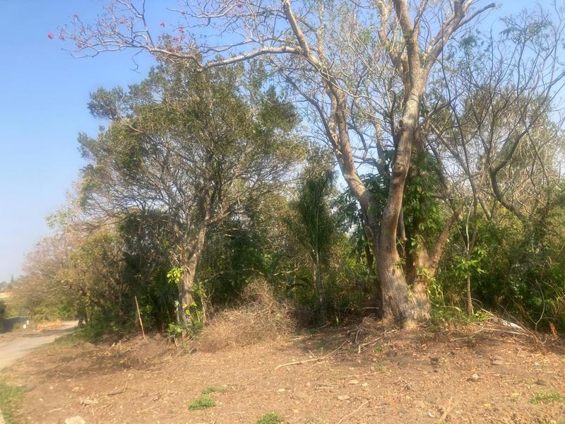 0 Bedroom Property for Sale in Margate KwaZulu-Natal