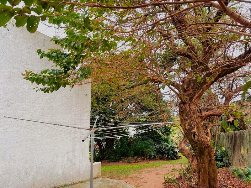 4 Bedroom Property for Sale in Port Edward KwaZulu-Natal