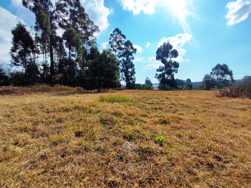 0 Bedroom Property for Sale in Greendale KwaZulu-Natal