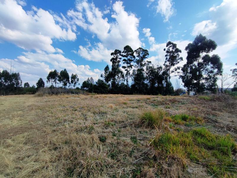 0 Bedroom Property for Sale in Greendale KwaZulu-Natal