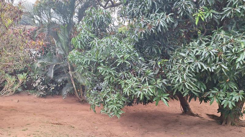 Commercial Property for Sale in Umkomaas KwaZulu-Natal