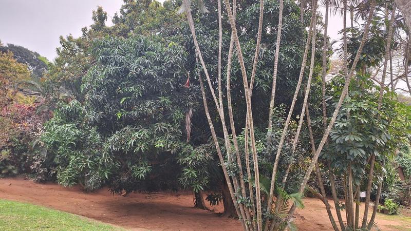 Commercial Property for Sale in Umkomaas KwaZulu-Natal
