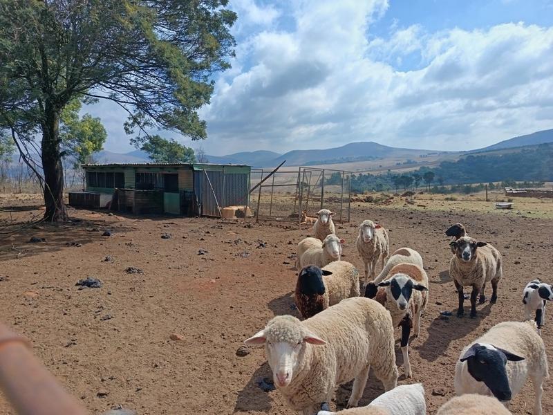 3 Bedroom Property for Sale in New Hanover Rural KwaZulu-Natal
