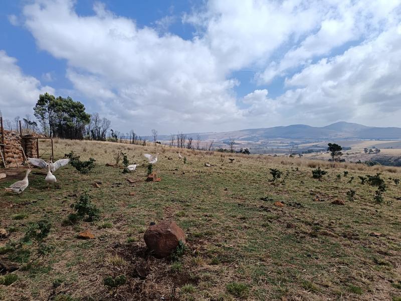 3 Bedroom Property for Sale in New Hanover Rural KwaZulu-Natal