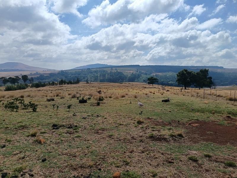 3 Bedroom Property for Sale in New Hanover Rural KwaZulu-Natal