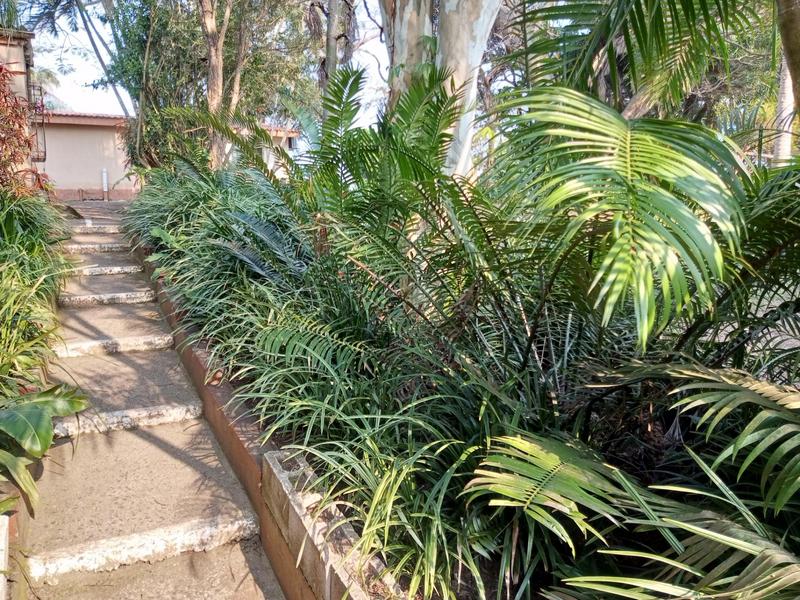 6 Bedroom Property for Sale in Leisure Bay KwaZulu-Natal