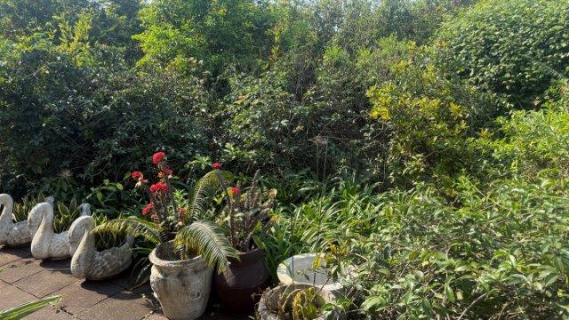 3 Bedroom Property for Sale in Merewent KwaZulu-Natal
