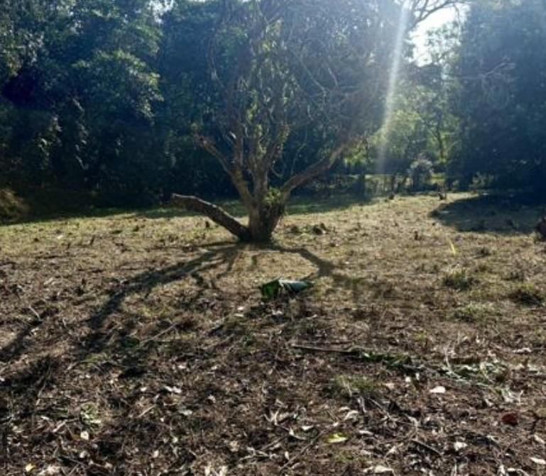 0 Bedroom Property for Sale in Padfield Park KwaZulu-Natal
