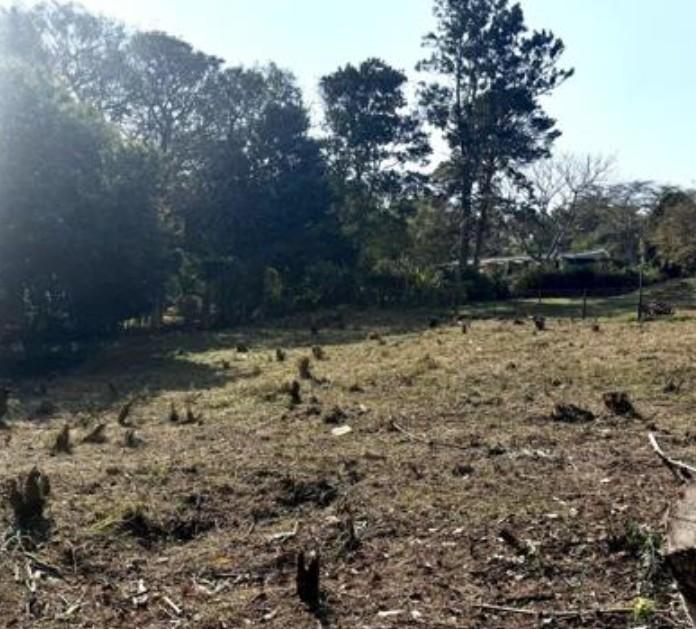 0 Bedroom Property for Sale in Padfield Park KwaZulu-Natal