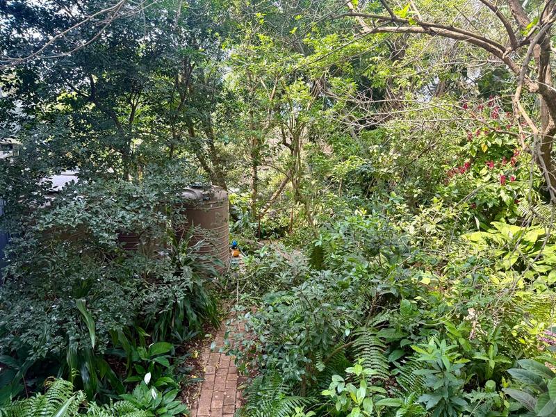 Commercial Property for Sale in Mtunzini KwaZulu-Natal