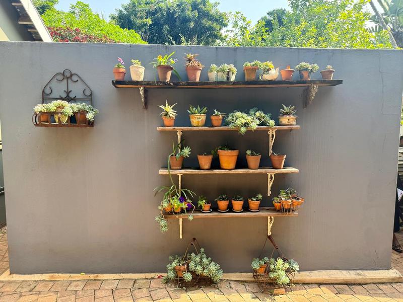 Commercial Property for Sale in Mtunzini KwaZulu-Natal