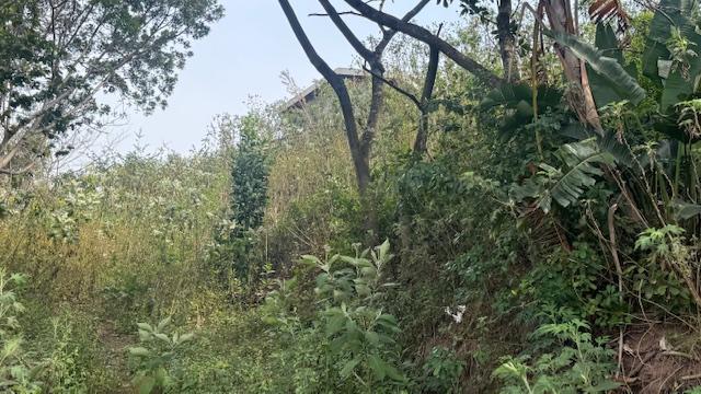 0 Bedroom Property for Sale in Shallcross KwaZulu-Natal