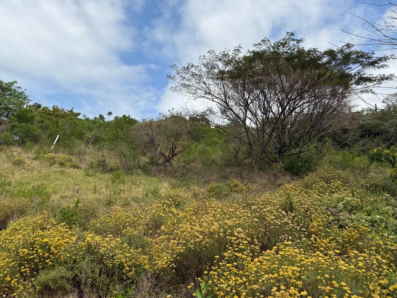 0 Bedroom Property for Sale in Zini River Estate KwaZulu-Natal