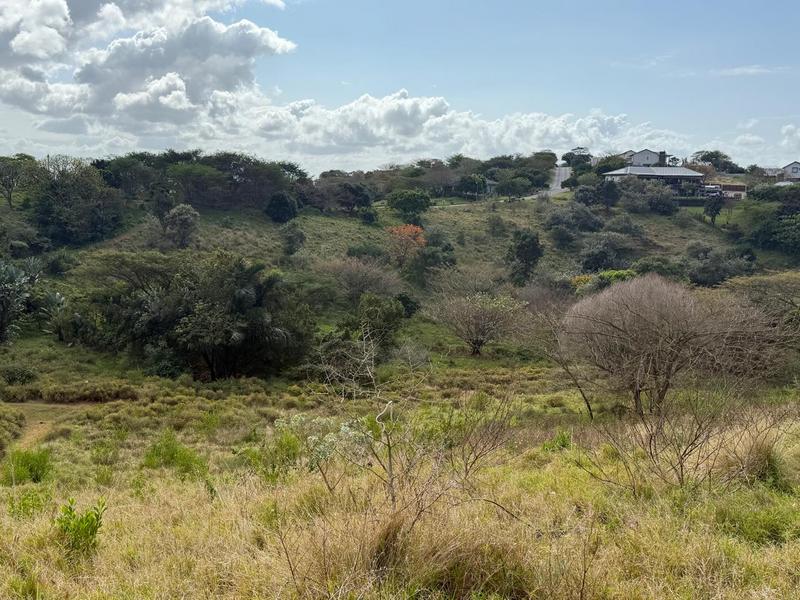 0 Bedroom Property for Sale in Zini River Estate KwaZulu-Natal