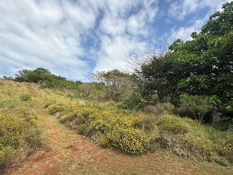0 Bedroom Property for Sale in Zini River Estate KwaZulu-Natal