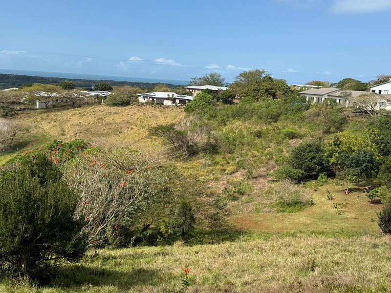0 Bedroom Property for Sale in Zini River Estate KwaZulu-Natal