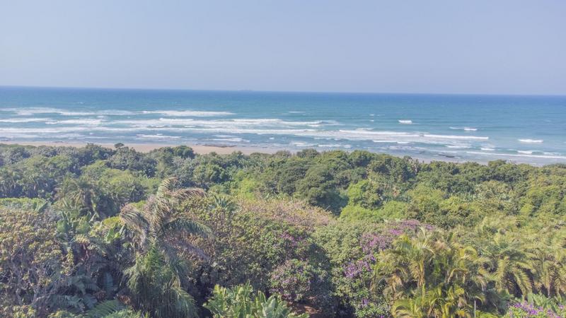 Commercial Property for Sale in Trafalgar KwaZulu-Natal