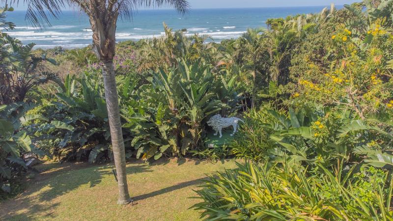 Commercial Property for Sale in Trafalgar KwaZulu-Natal