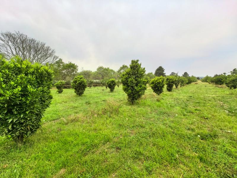 4 Bedroom Property for Sale in Lidgetton KwaZulu-Natal