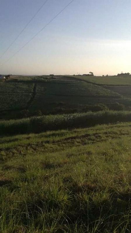 0 Bedroom Property for Sale in Mandeni KwaZulu-Natal