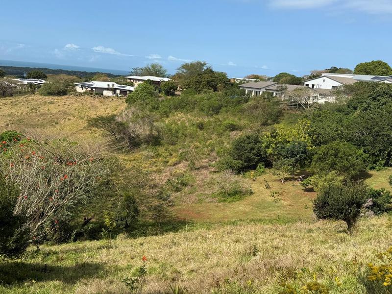 0 Bedroom Property for Sale in Zini River Estate KwaZulu-Natal